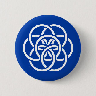 Internationale Flagge des Planeten Erde Button