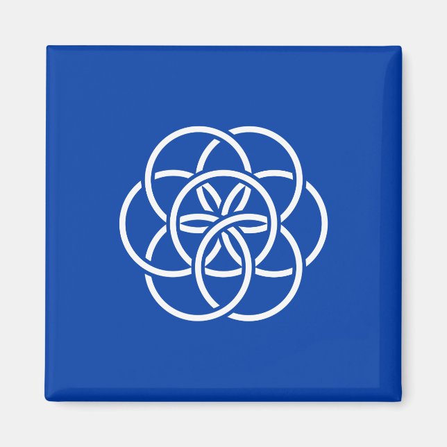 Internationale Flagge des Planeten Erde Magnet (Vorne)