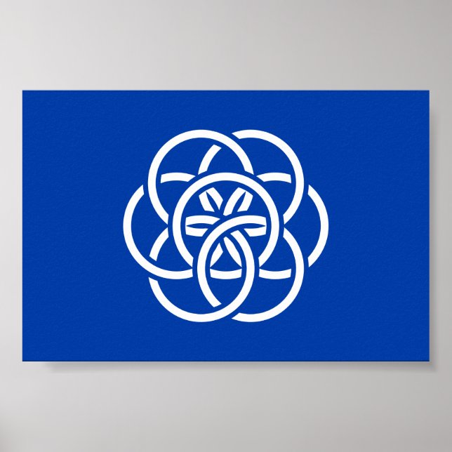 Internationale Flagge des Planeten Erde Poster (Vorne)