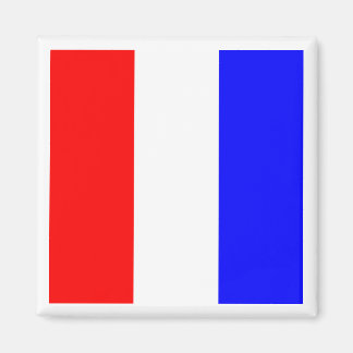 Internationale maritime Signalflagge TANGO Magnet