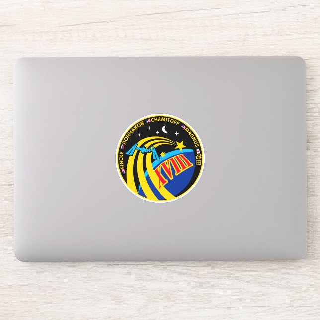Internationale Raumstation Expedition ISS-18 Aufkleber (Computer)