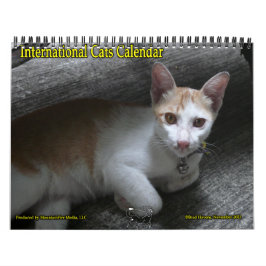 Internationaler Katzen-Kalender Kalender