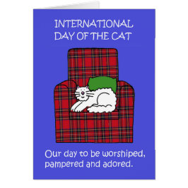 Internationaler Tag des Cat-Augusts