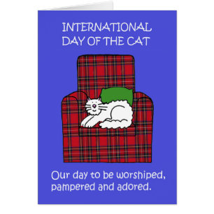 Internationaler Tag des Cat-Augusts