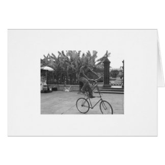 interprète Carré Jackson