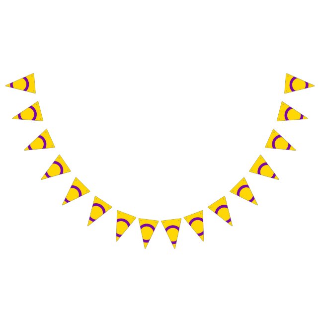 Intersex Pride Flag Wimpelkette (Alle)