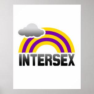 INTERSEX REGENBOGEN POSTER