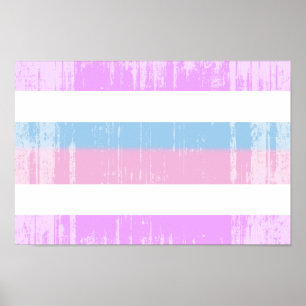 Intersex-Stolz-Flagge Poster