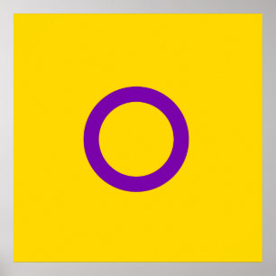 INTERSEX STOLZ POSTER