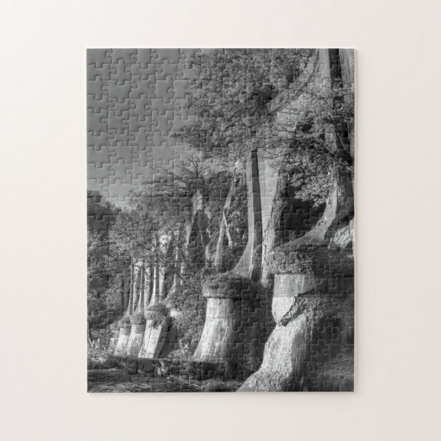 Interurban Bridge (Vertikal)