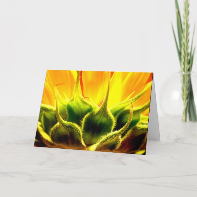 Intimität Dankeskarte (Vorderseite)