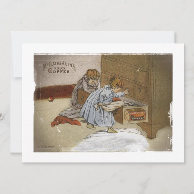 Into Mischief Kids McLaughlin Kaffee (Vorderseite)