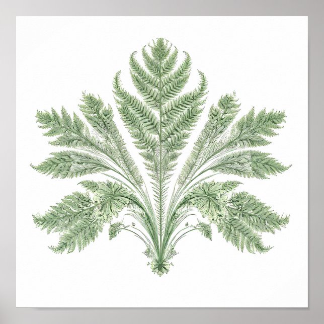 Intricate Botanical Symmetry: Fractal Flora Poster (Vorne)