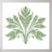 Intrikate botanische Symmetrie: Fraktale Flora