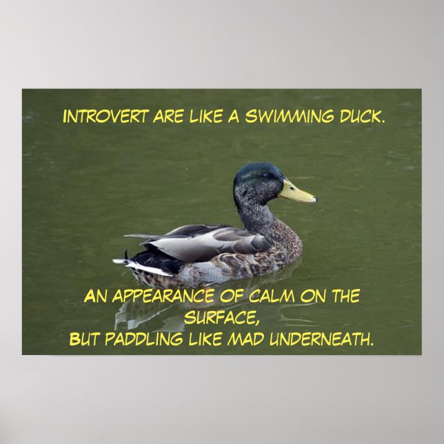 Introvert Duck Poster (Vorne)