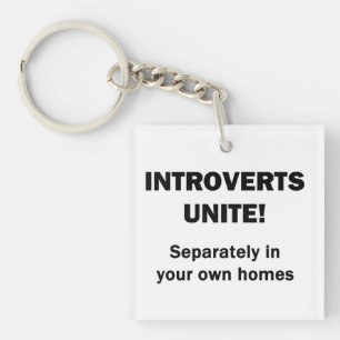 Introvertierte vereinigt euch! schlüsselanhänger