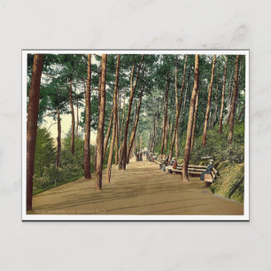 Invalidenspaziergang, Bournemouth, England, Vintag Postkarte
