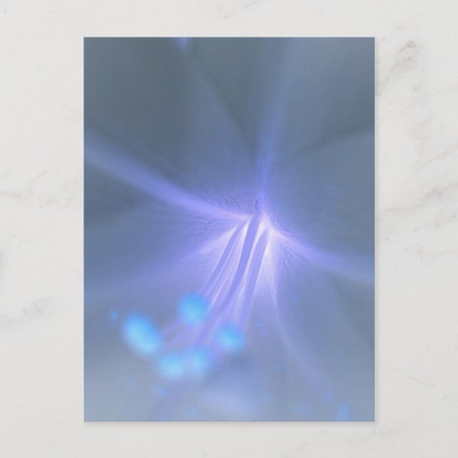 Inverser la carte postale Lily (Devant)