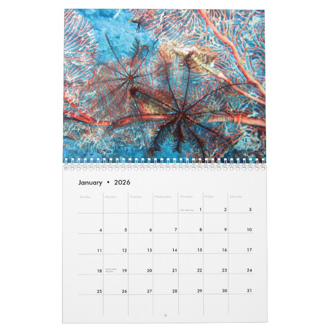 Invertébrés de calendrier des Fidji 2015 (Jan 2026)