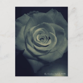 invertierte Rose Postkarte