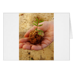 Investitionen in Wachstum