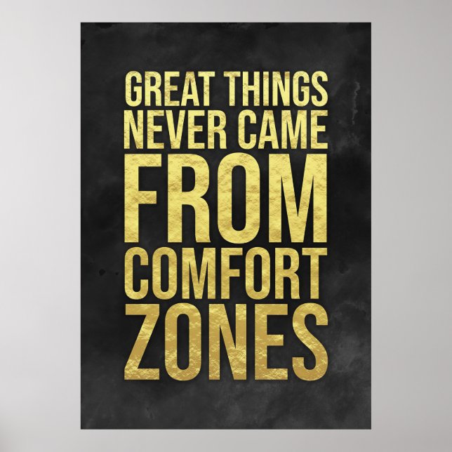 Investor Comfort Zones Poster (Vorne)