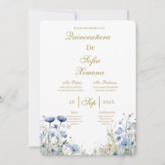 Invitación de quinceañera elegante  invitation einladung