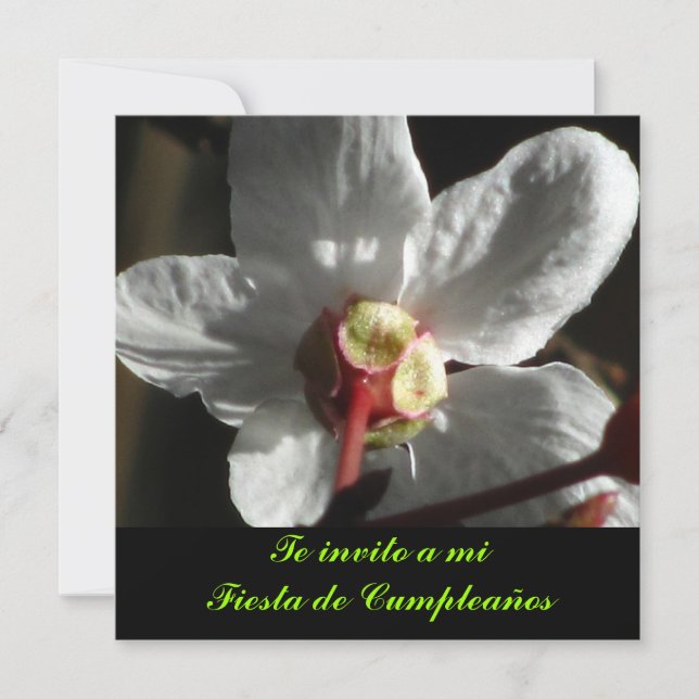 Invitación - Die Einladung an einen Kilometer Fies (Vorderseite)