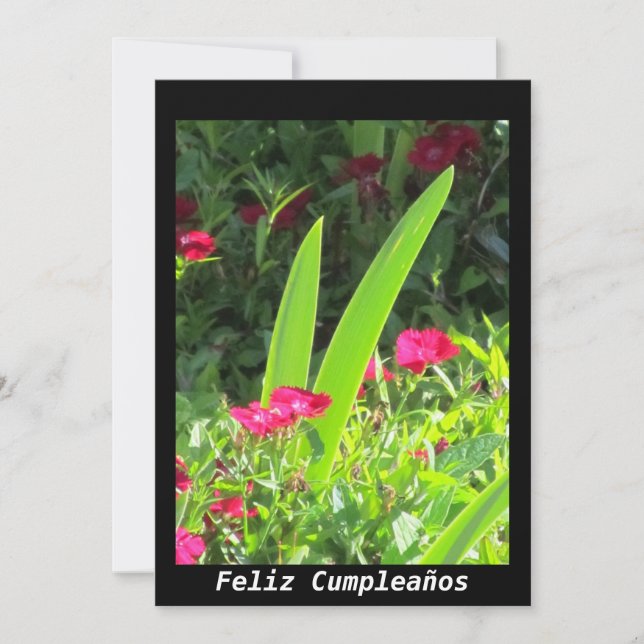 Invitación - Feliz Cumpleaños - Rosa Blume Einladung (Vorderseite)