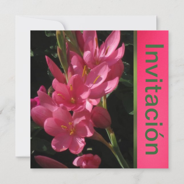 Invitación - Fiesta de Cumpleaños - Rosa Einladung (Vorderseite)