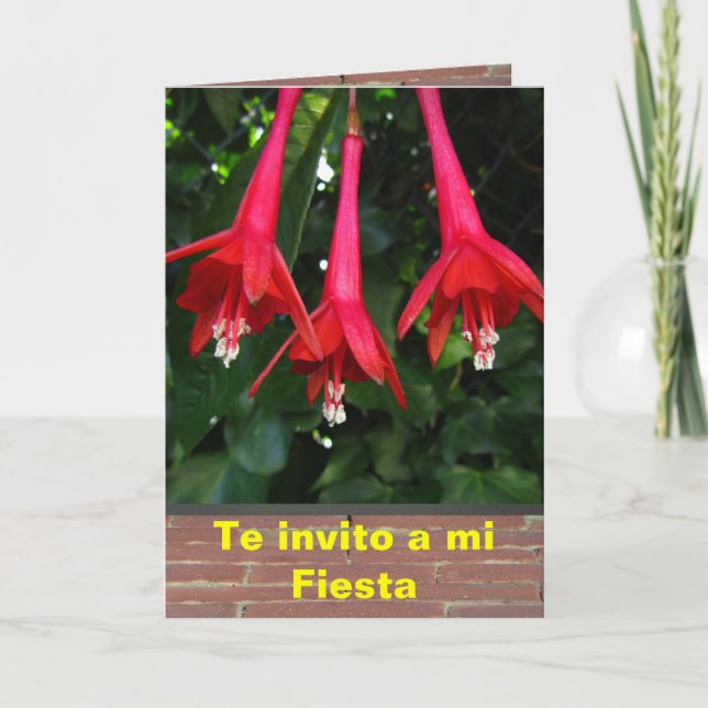 Invitación - Fiesta - Flores de Fucsias Einladung (Vorderseite)