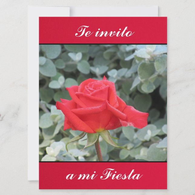 Invitación - Te invito eine MI-Fiesta - La Rosa Einladung (Vorderseite)