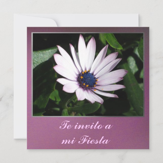 Invitación - Te invito eine MI-Fiesta - Margarita Einladung (Vorderseite)