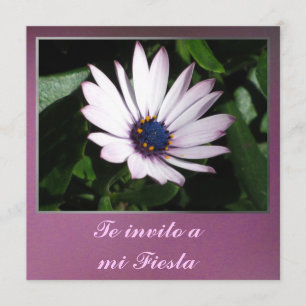 Invitación - Te invito eine MI-Fiesta - Margarita Einladung