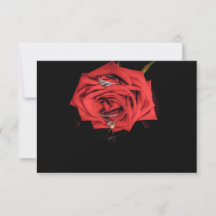 0410-Rose Rouge avec Anneaux de Mariage