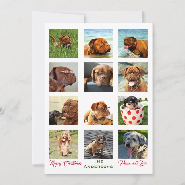 Invitation 12 Image incroyable Famille de Noël Collage (Devant)