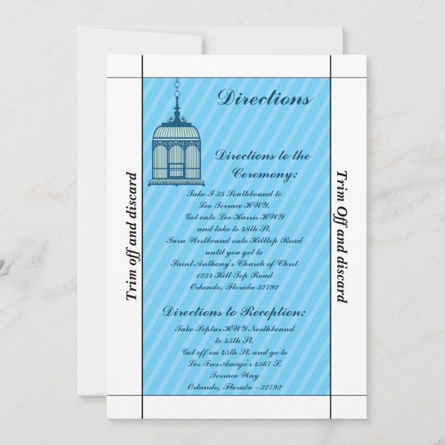 Invitation 3,5 x 7 Directions Birdcage/Blue Strip (Devant)