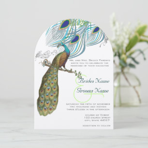 Invitation 3 Aqua Paon Plumes et Oiseau Vintage