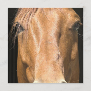 Invitation à Cheval de châtaignier