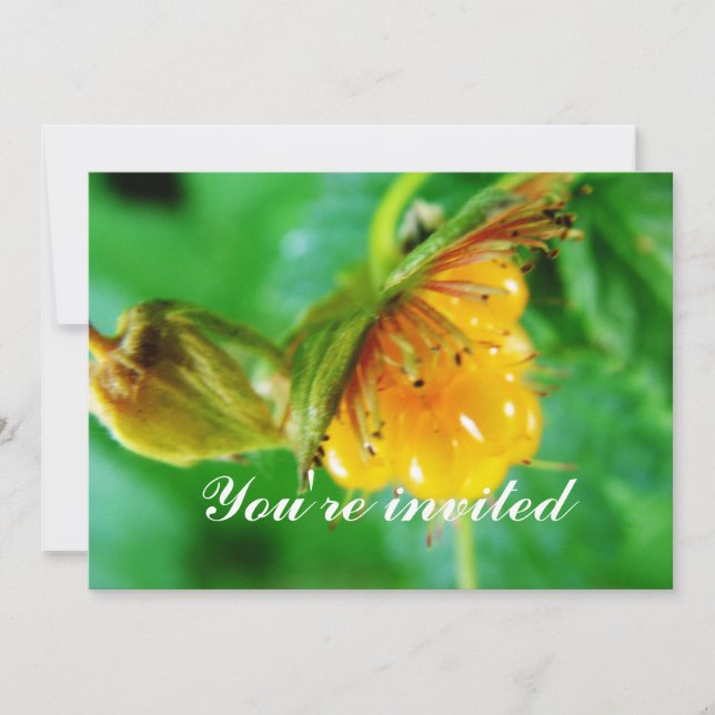 invitation à la baie jaune sauvage (Devant)