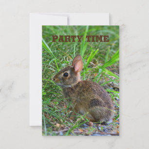 Invitation à la fête de bébé lapin