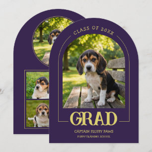Invitation à la fête de fin d'études des chiens -