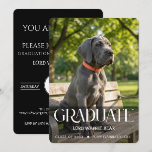 Invitation à la fête de fin d'études du chien Phot
