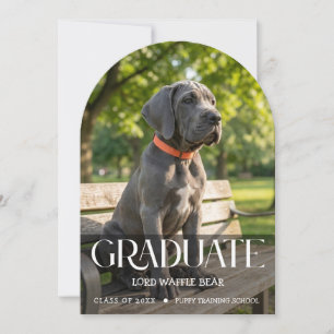 Invitation à la fête de fin d'études du chien Phot