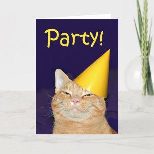 Invitation à la fête du chat