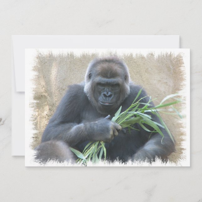 Invitation à la gorille de Silverback (Devant)