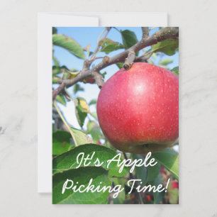 Invitation à la récolte