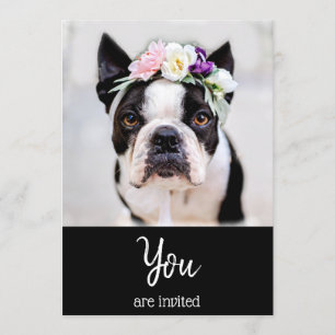 *~* Invitation à l'événement : French Bulldog Ador