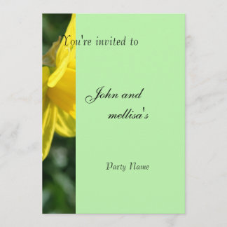 Invitation à une fête, mariage, anniversaire, remi