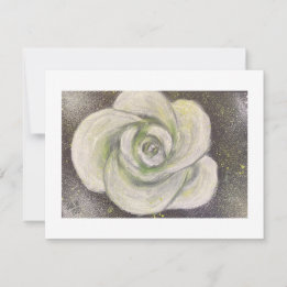 Invitation Abstract White Rose on black background card